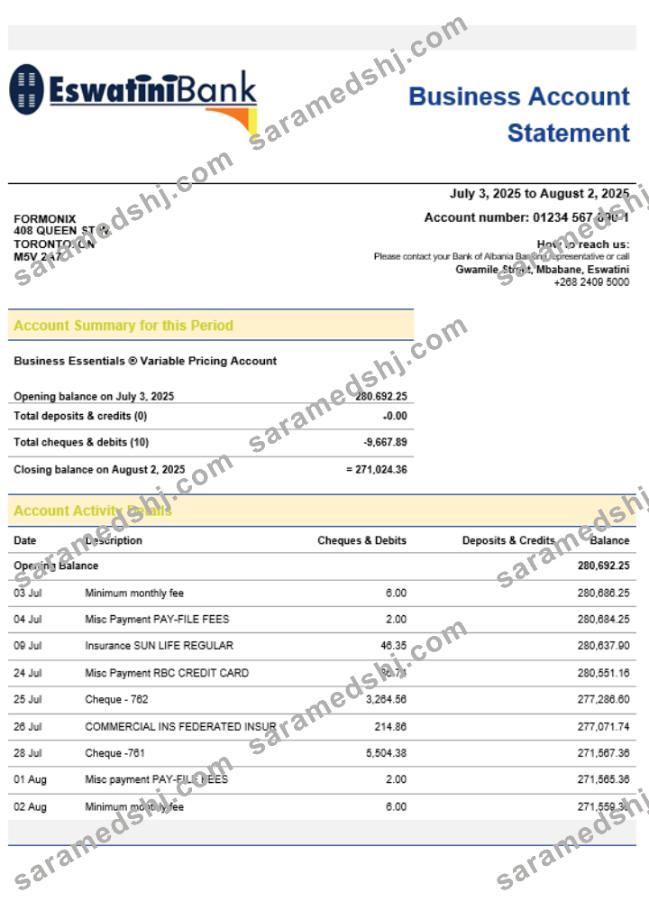 Swazibank Limited company checking account statement Word and PDF template